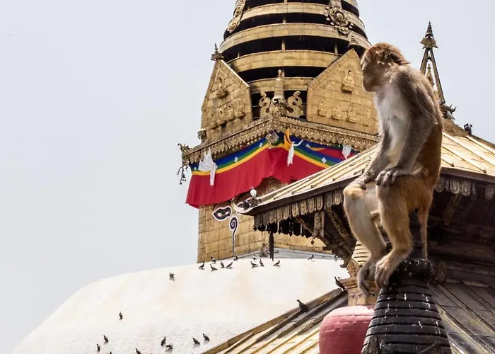 Lal Maya Frühstückspension Kathmandu